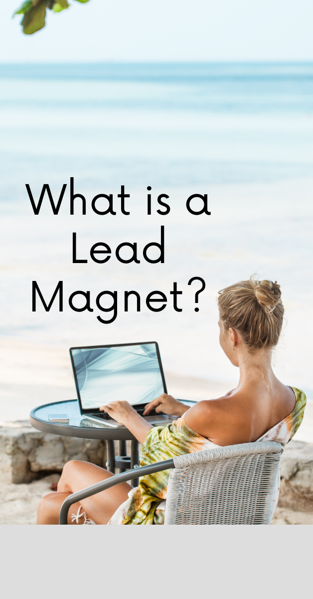 what is a lead magnet